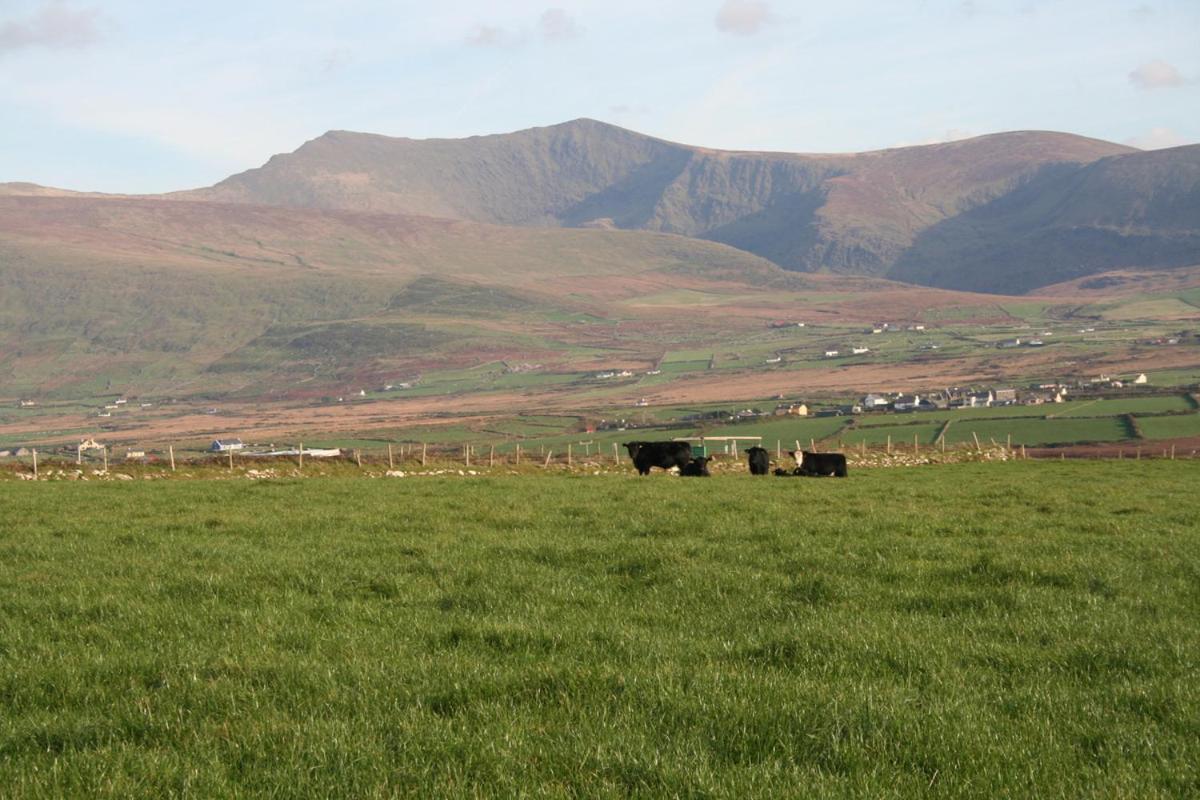 Coill An Rois B&B Ballydavid Ngoại thất bức ảnh
